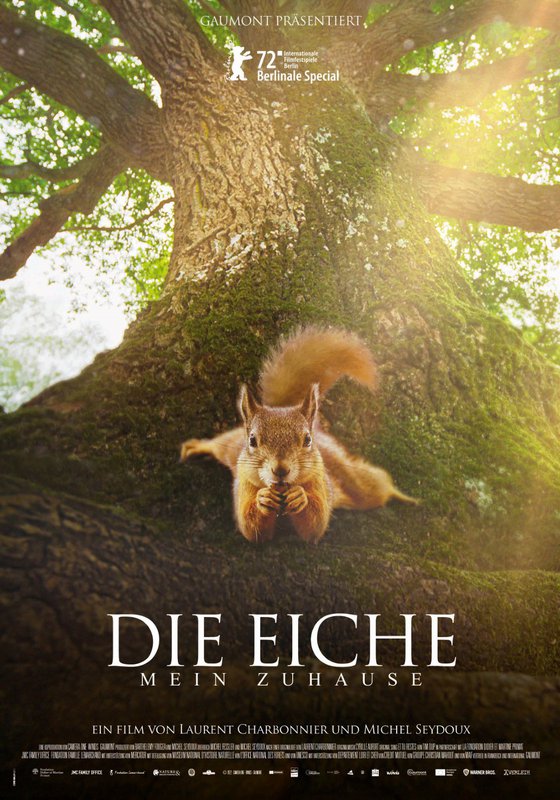 Die Eiche – Mein Zuhause