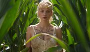 Eyes in a Cornfield2.jpg