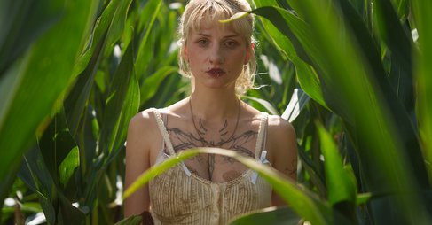 Eyes in a Cornfield2.jpg