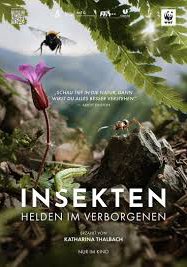 Insekten – Helden im Verborgenen