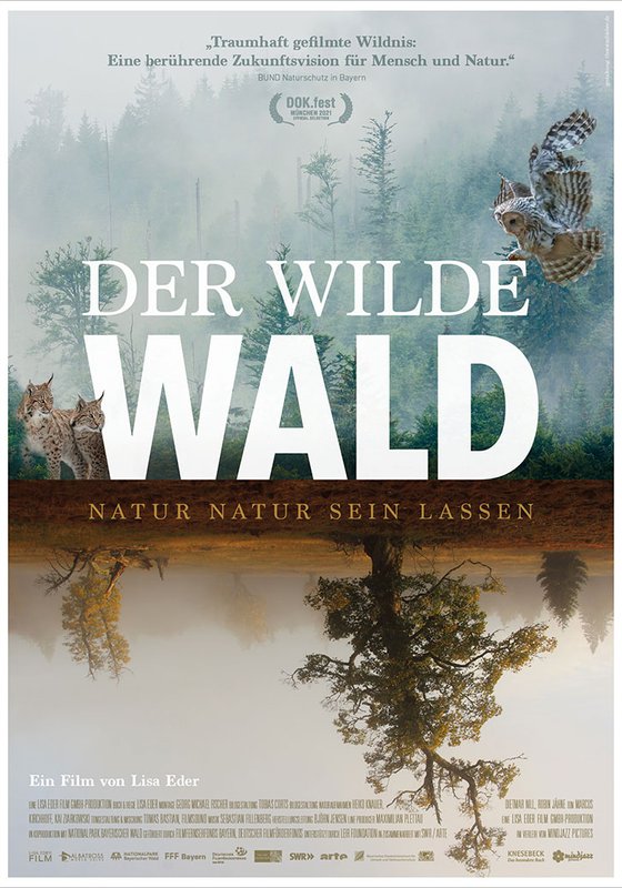 Wilder Wald.jpg