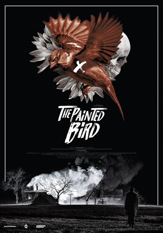 painted bird.jpg