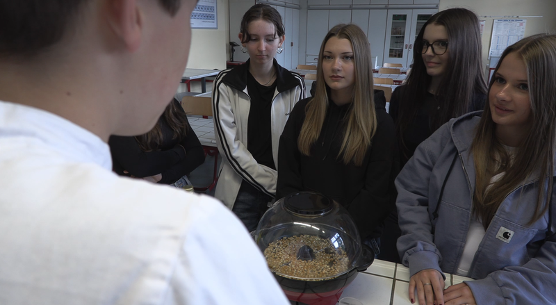 probefilm popcorn still